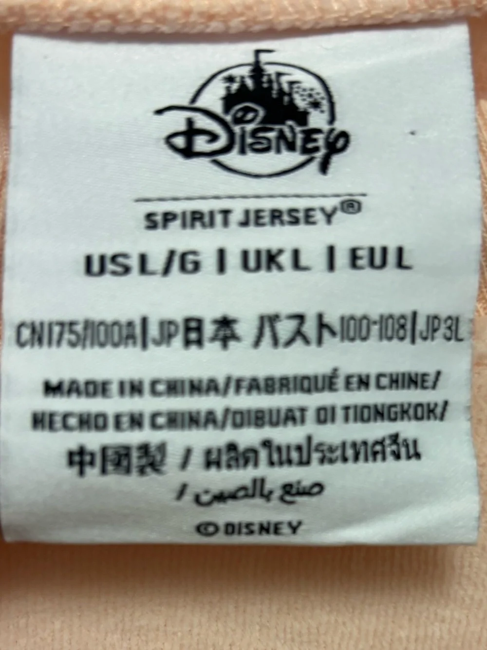 Walt Disney Spirit Jersey Crewneck Sweatshirt Disney Parks Adult Size Large - Picture 6 of 7